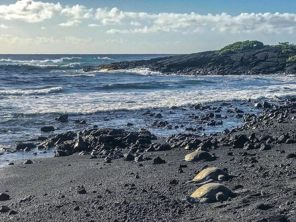 Amazing Lagoon & Garden Front Condo With Stunning Ocean Views -Hale Kona Kai 209 By Casago Kona Kailua-Kona 0*,  Verenigde Staten